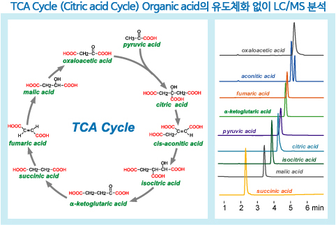 Intrada Organic acid